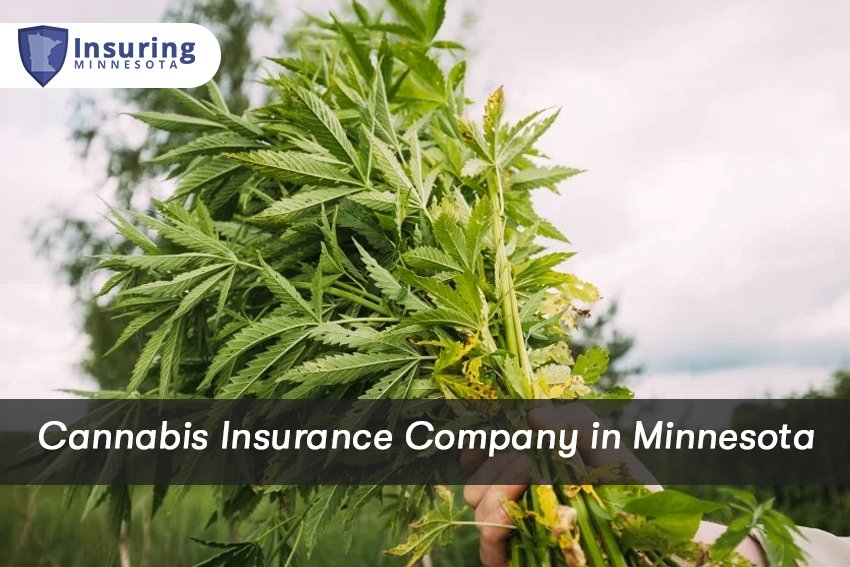 cannabis insurance mn Business & Commercial Insurance in Minnesota - Insuring Minnesota