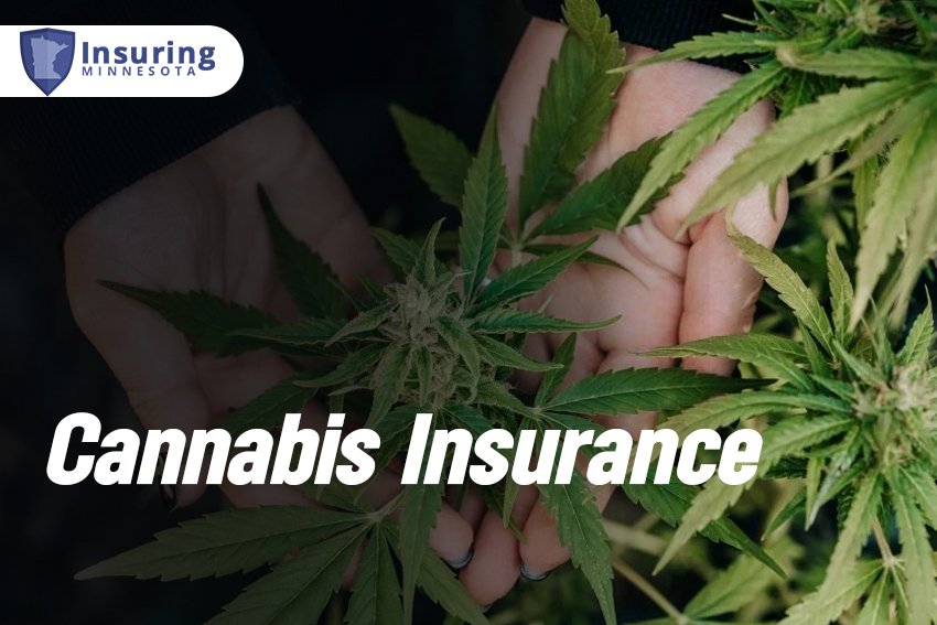 Cannabis Insurance