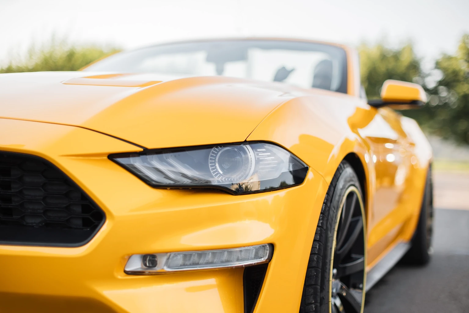 Car Insurance