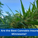 Who Are the Best Cannabis Insurers in Minnesota?