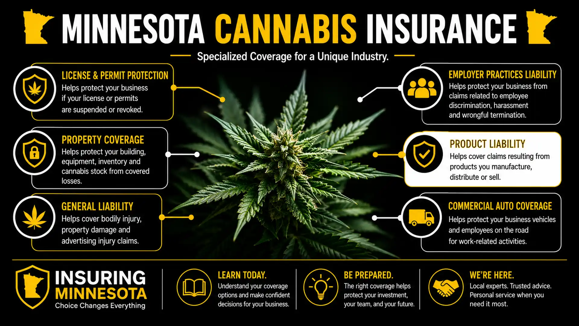 Minnesota Cannabis Insurance Infographic