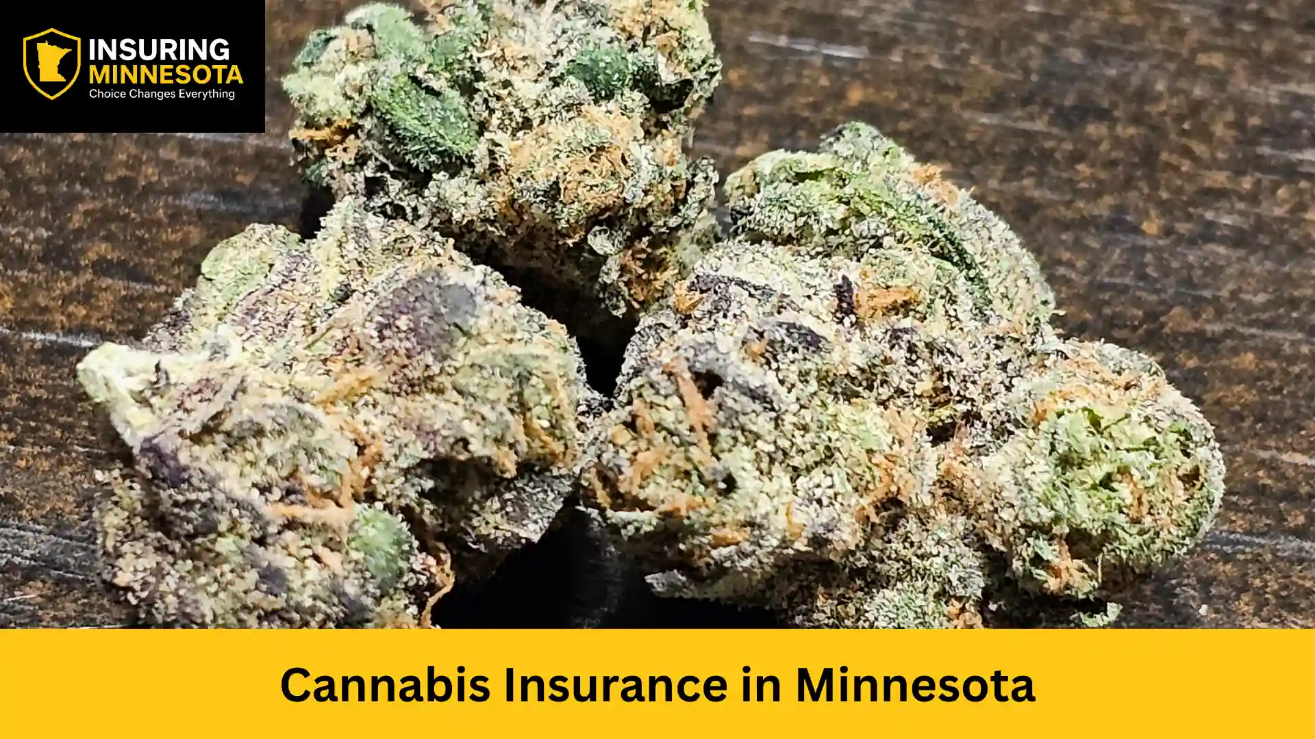 Cannabis Insurance in Minnesota