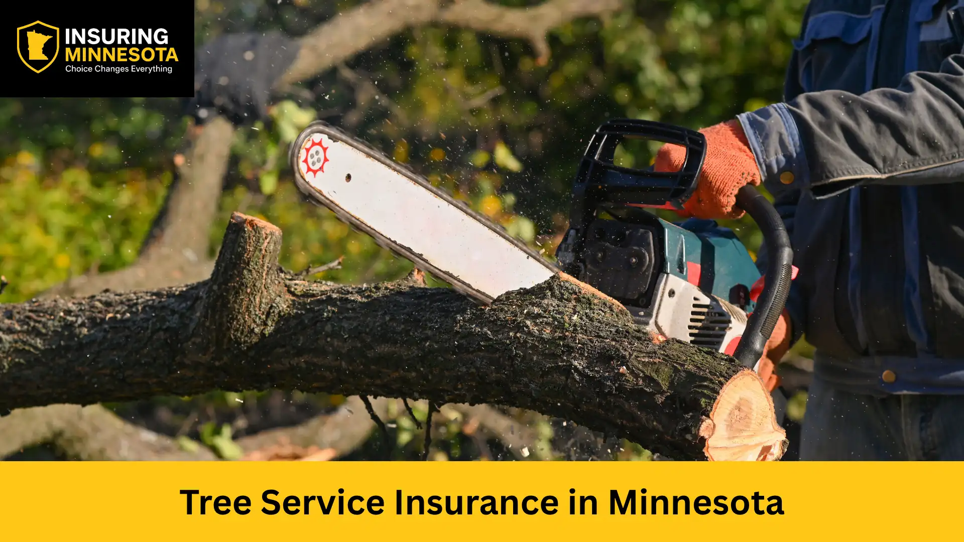Tree Service Insurance in Minnesota